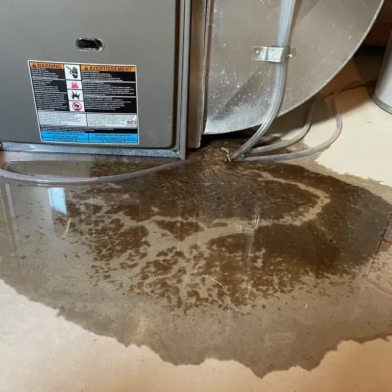 Appliance Leak Cleanup in Horse Pasture, VA